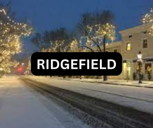Ridgefield homes for sale - kathy suhoza realtor in newtown ct
